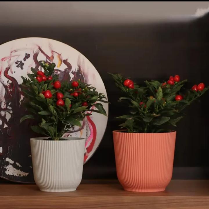 MODERN SMALL FLOWERPOT PLANTERS